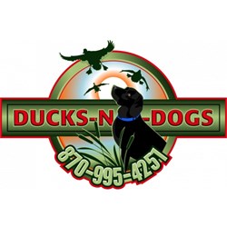 Ducks n Dogs