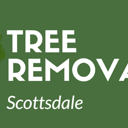 Tree Removal Scottsdale AZ