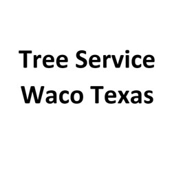 Tree Service Waco Texas