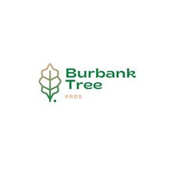 Burbank Palm Tree Skinning - burbanktree.services