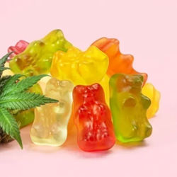 Martha Maccallum CBD Gummies