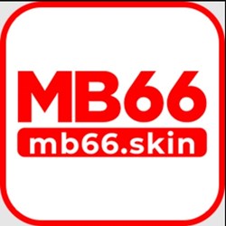 mb66skin